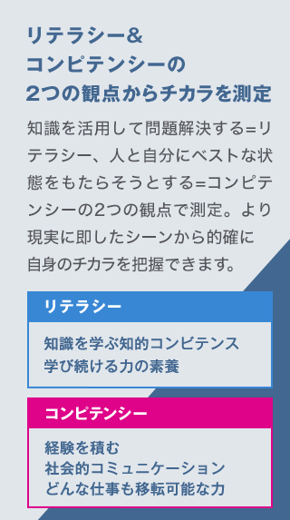 リテラシー&コンピテンシーの2つの観点からチカラを測定